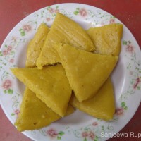 Mangifera indica L.